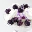 Thumbnail image for Whipped Fresh Sheep’s Milk Ricotta with Frozen Blueberries